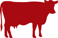 Beef